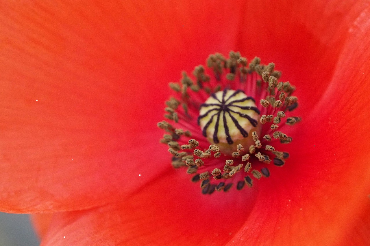 Neo-Noir Cinematic Scene